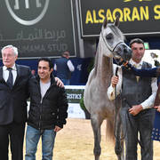 #44 Filly 2 Year Old: DA Alihandra 