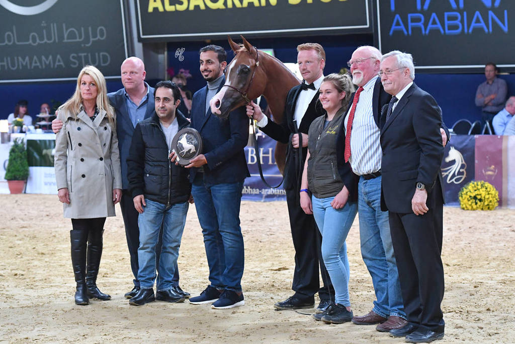 #41 Filly 2 Year Old: Venice MI  