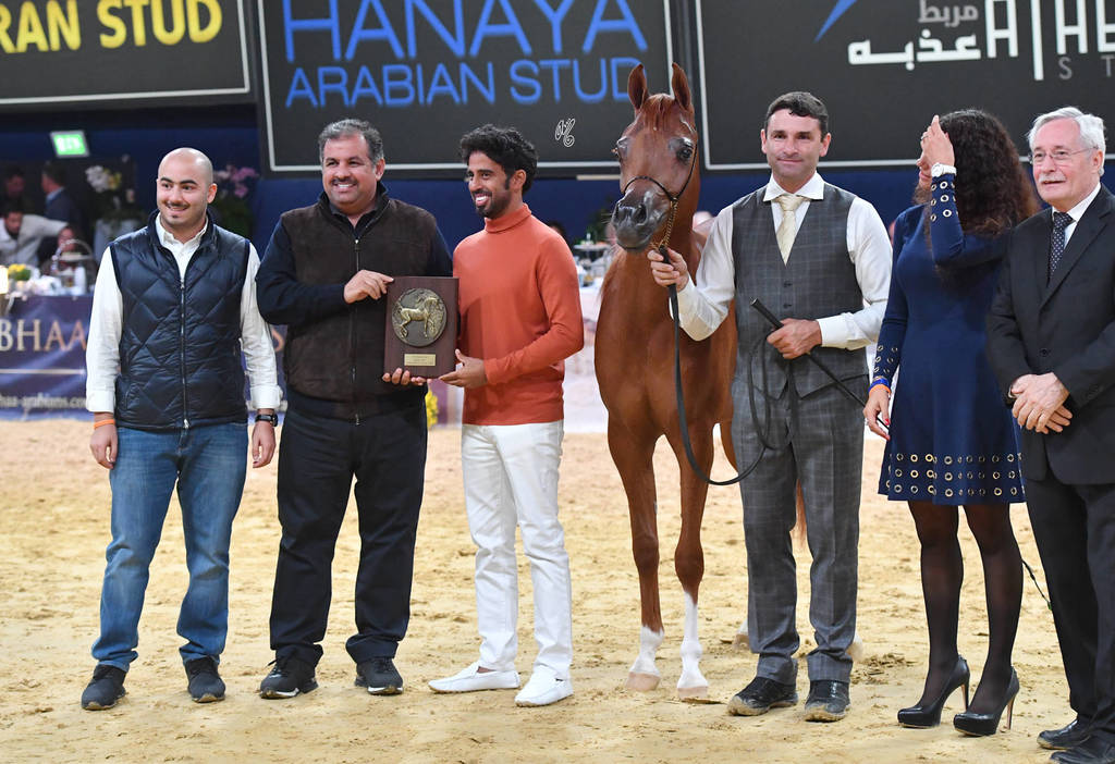 #35 Yearling Filly: AJ  Norah