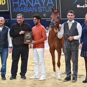 #35 Yearling Filly: AJ  Norah