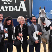 Junior Colt Gold Champion: Alexxanderr (Excalibur EA X AR Most Irresistable) 