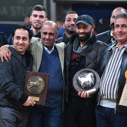 Senior Stallion Gold Champion: Excalibur EA (Shanghai EA X Essence Of Marwan EA)