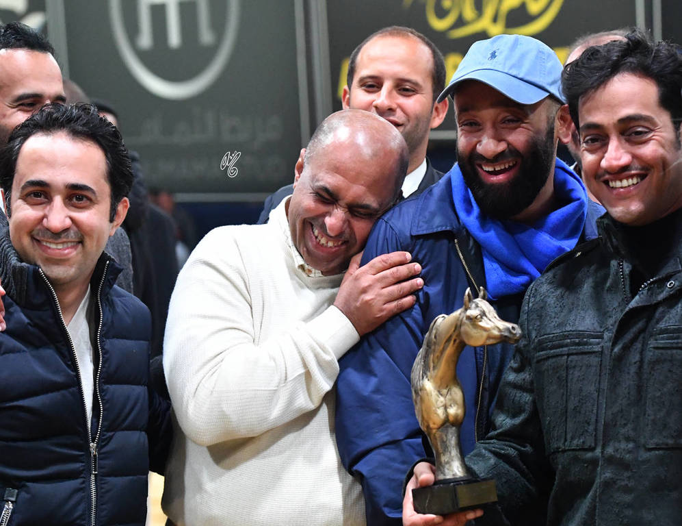 Senior Stallion Gold Champion: Excalibur EA (Shanghai EA X Essence Of Marwan EA)