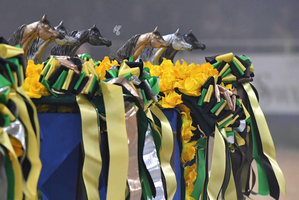 Lisa Abraham: The 2017 All Nations Cup Festival Photo Gallery