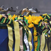 Lisa Abraham: The 2017 All Nations Cup Festival Photo Gallery