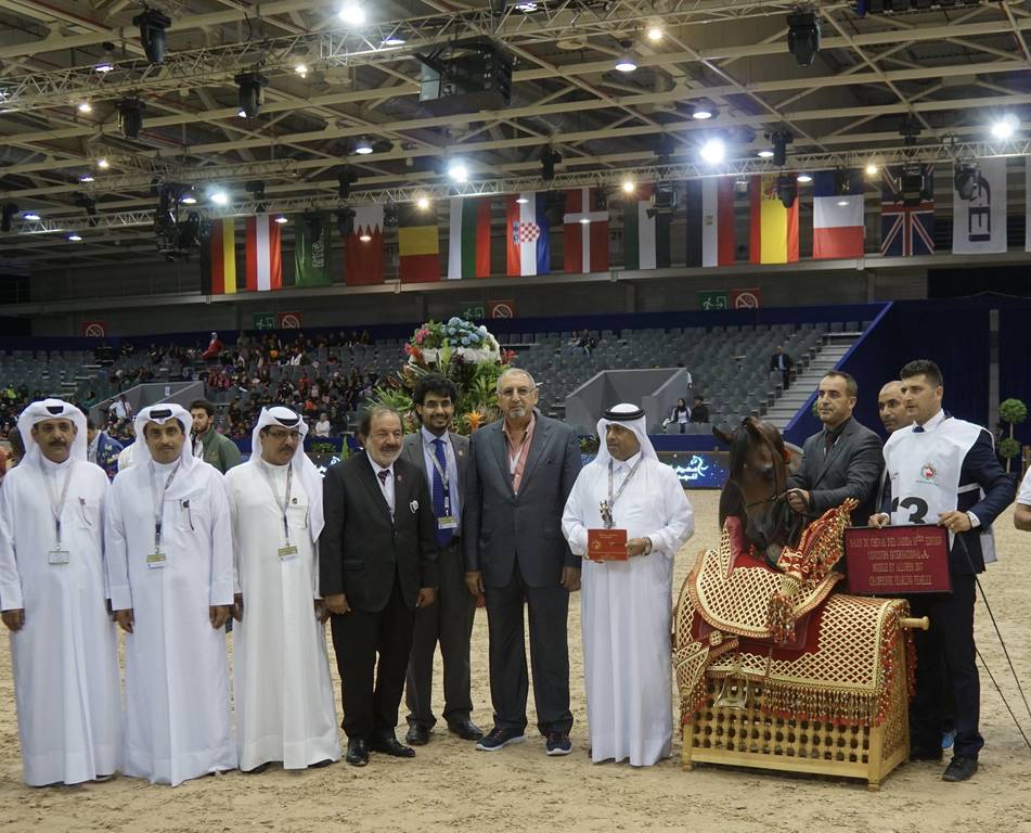 Gold Champion yearling filly HADBA AL SHAQAB by Marwan and out of OFW Mishaahl