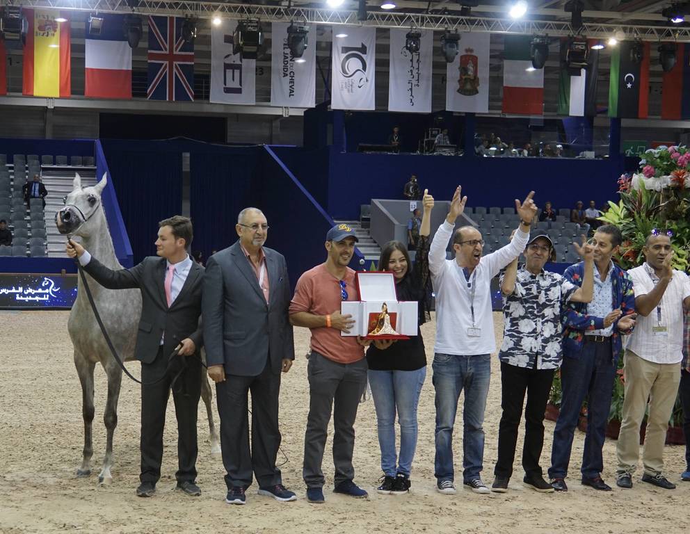 Soultana De Dream by Kenz Al Bidayer on being Silver Champion - Owned by Mr. Mohamed Mgharfaoui