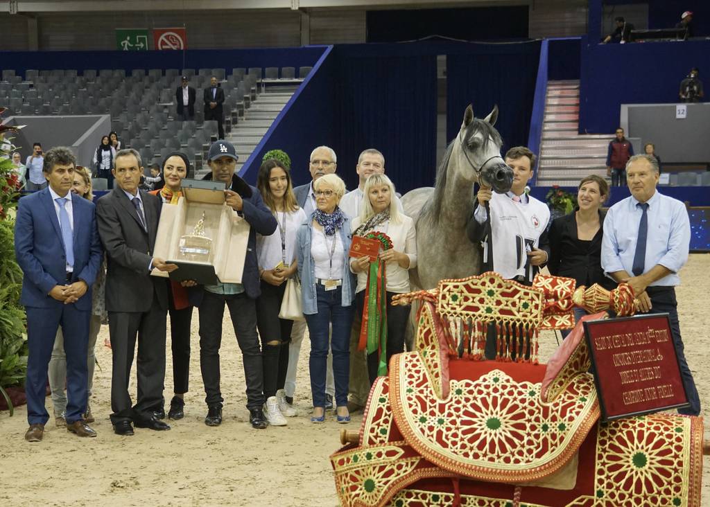 Gold Champion Jr Filly Poesie TI by Kanz Albidayer bred by Titanium Arabians