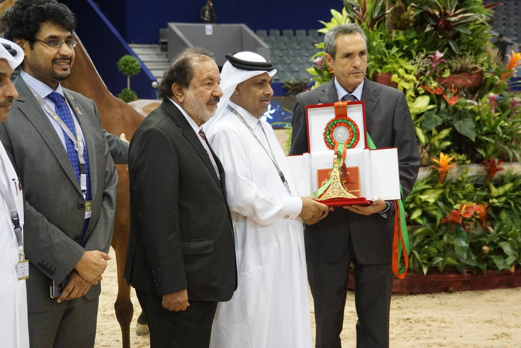 Silver Champion Jr. Mare - Mashkora Al Shaqab by Fadi Al Shaqab and out of Marwa Al Shaqab.
