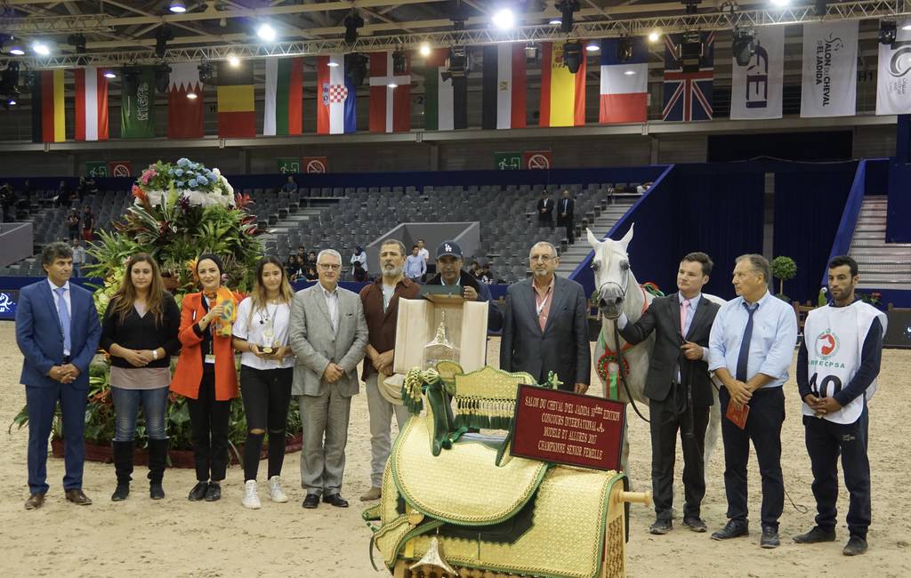 Champion Sr. Mare in Morocco at the Salon du Cheval d'El Jadida. Valodia De Lafon by Shanghai EA and out of Vassilia bred by Mas De Lafon and owned by Mr. Abdulmajid Aboukhadija
