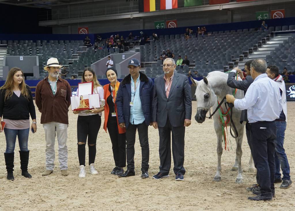 Silver Champion Jr Mare Jenufa De Nautiac by Shanghai EA and out of Jalicia de Nautiac - bred by Bourrasse Rachel and also owned by Mr. Abdelmajid Aboukhadija