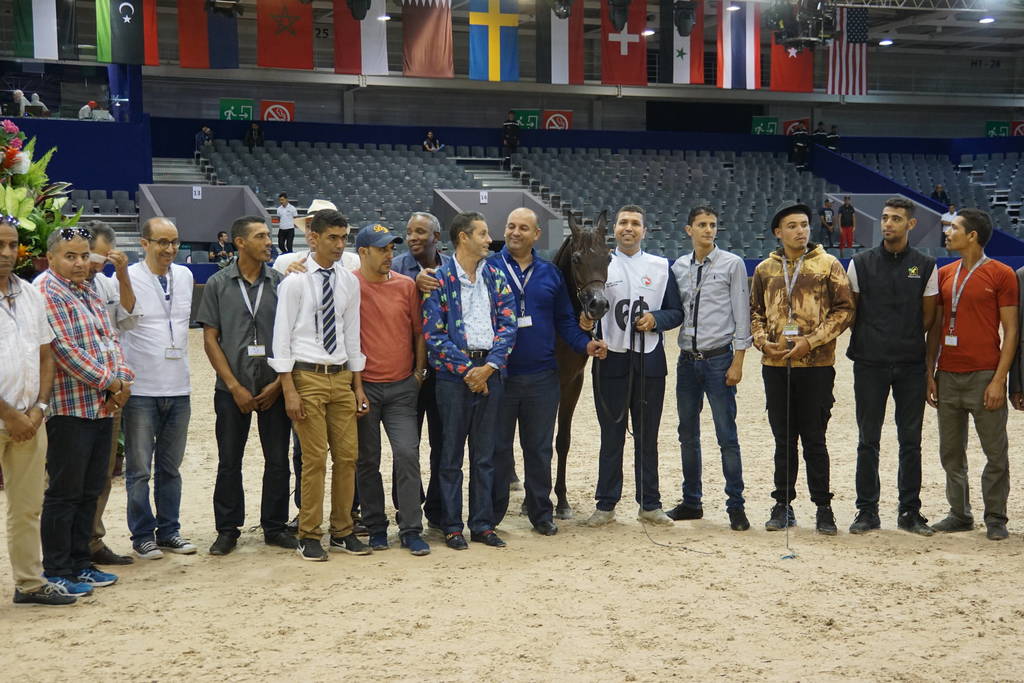 Bronze Yearling Colt is Kanz Gam by Kanz Albidayer and out of Samya Gam. Bred and owned by Mr. Gamhiouen Sai