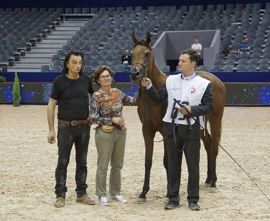 The silver Champion Yearling Colt was bred by Al Shahania and owned by Mr. Michel Combette. Lazeez Al Shahania by EKS Alihandro and out of ZT Makbey