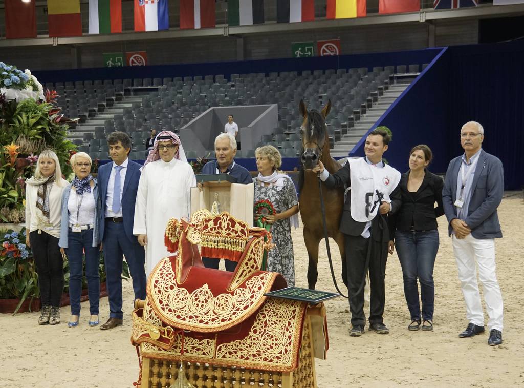 Gold Champion Jr. Colt Jawen Aslal by ZT Marwteyn and out of Just Adore. Owned and Bred by Mr. Et Mrs Chatton