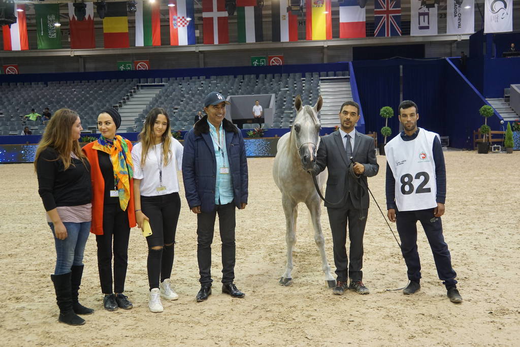 Silver Champion Jr. Colt Nydjik Des Aubues by Maximilian and out of Nirvana Des Aubues. Owned by Mr. Aboukhadija Abdelmajid.
