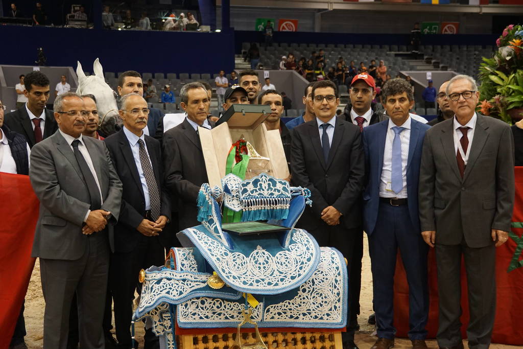 Gold Champion Sr. Stallion at the Salon du Cheval - El d'Jadida Morocco. TS Apolo - by TS Don Brave out of Fairness FHP. Owned by Haras Royal de Bouznik