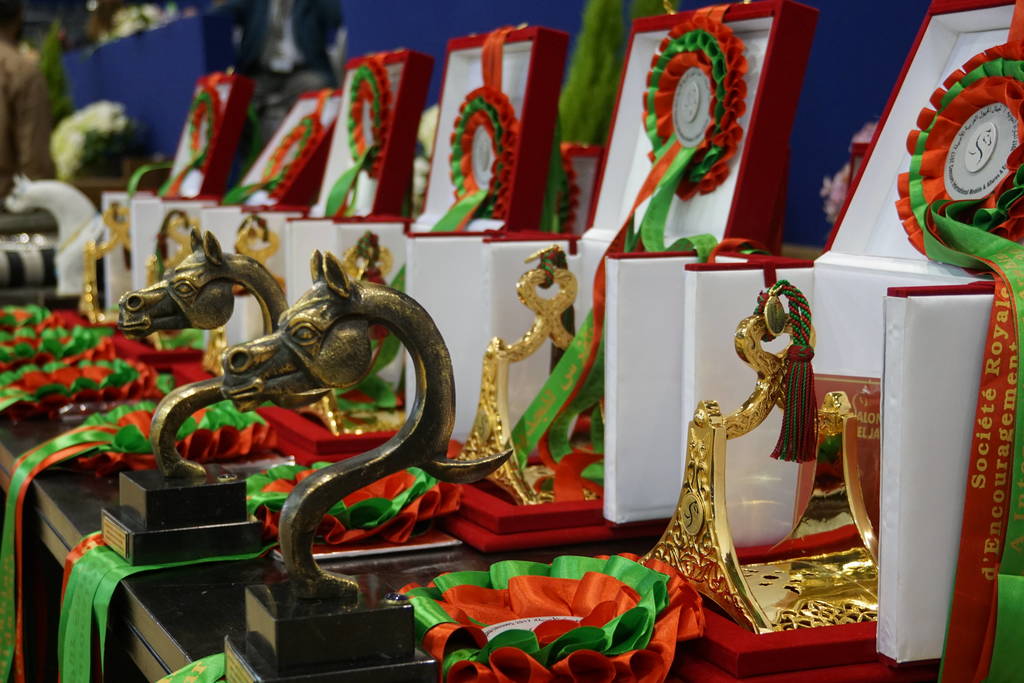 The 2017 Salon du Cheval d'El Jadida Morocco by Scott Bailey 