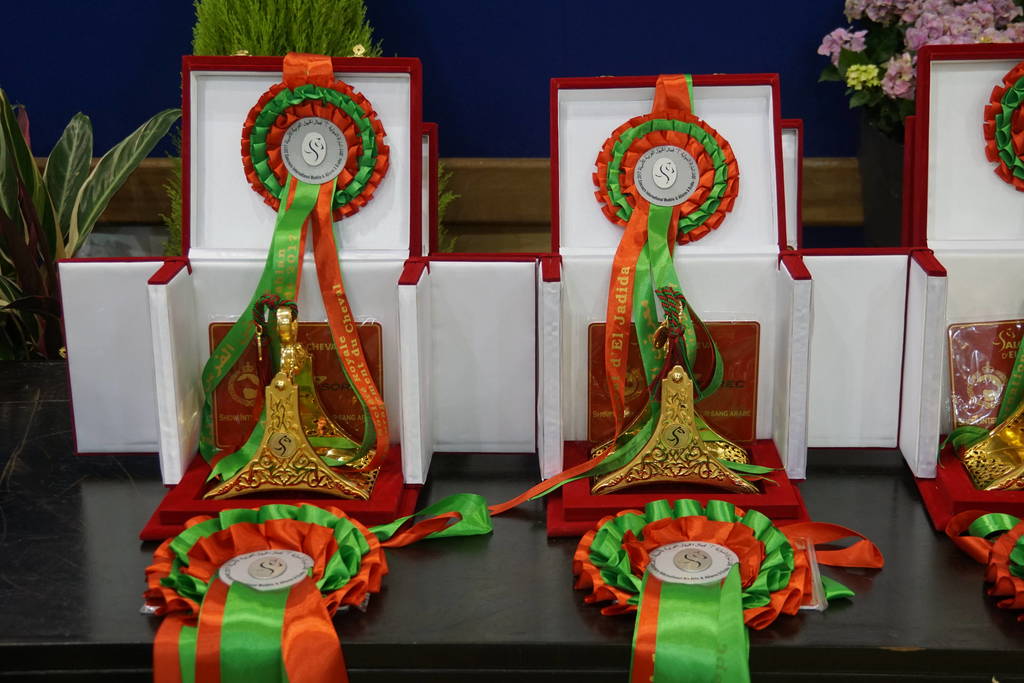 The 2017 Salon du Cheval d'El Jadida Morocco by Scott Bailey 