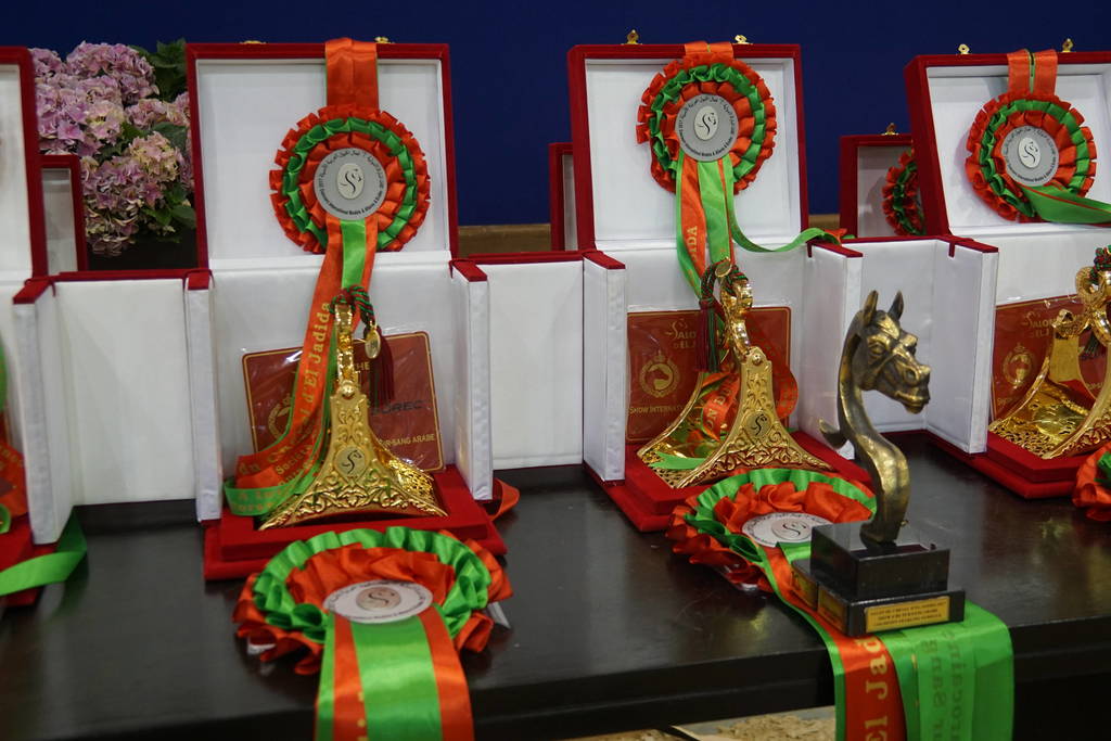 The 2017 Salon du Cheval d'El Jadida Morocco by Scott Bailey 