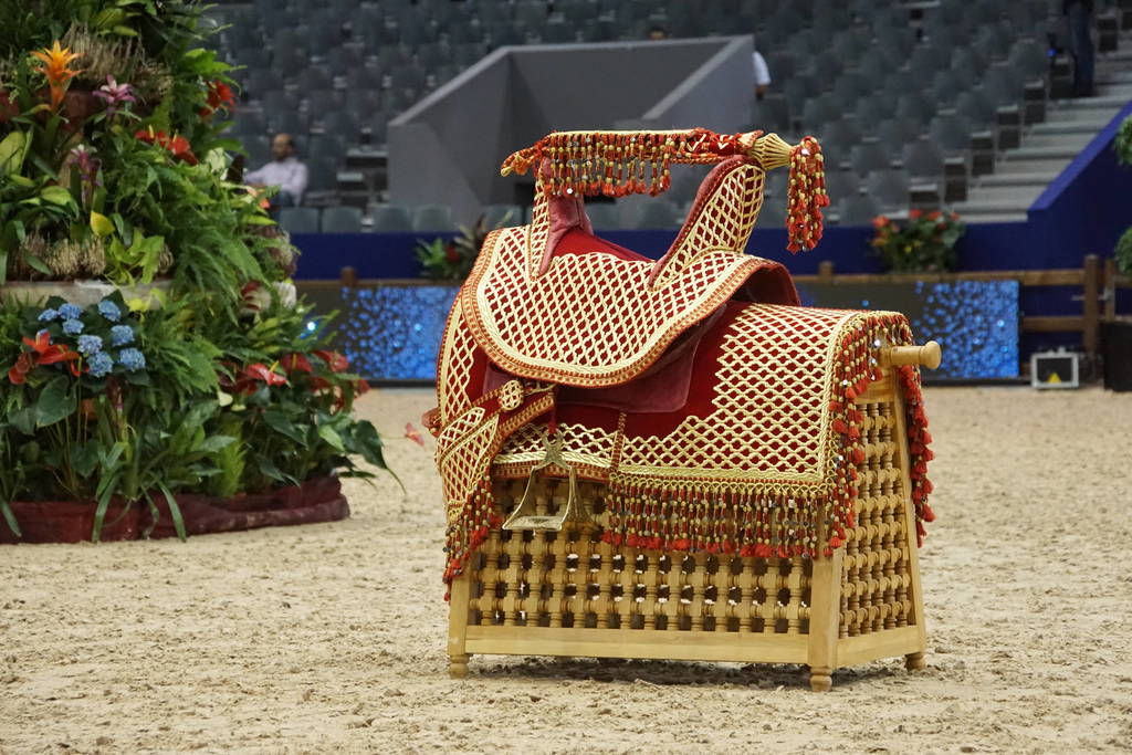 The 2017 Salon du Cheval d'El Jadida Morocco by Scott Bailey 