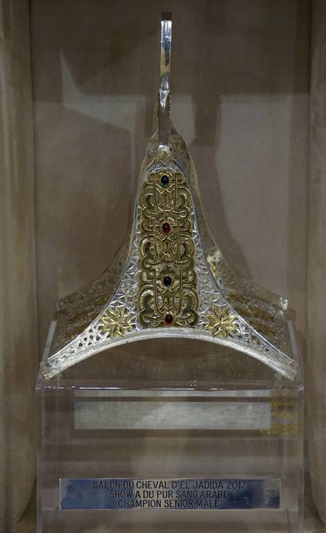 The 2017 Salon du Cheval d'El Jadida Morocco by Scott Bailey 