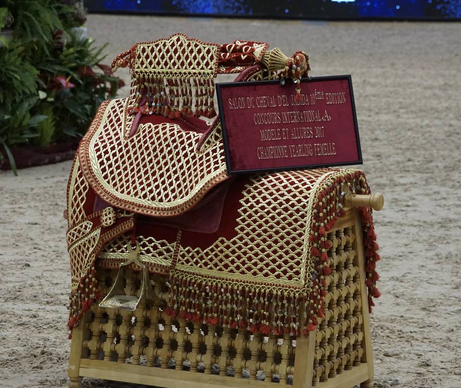 The 2017 Salon du Cheval d'El Jadida Morocco by Scott Bailey 