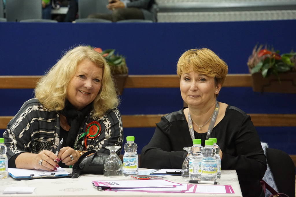 The 2017 Salon du Cheval d'El Jadida Morocco by Scott Bailey 