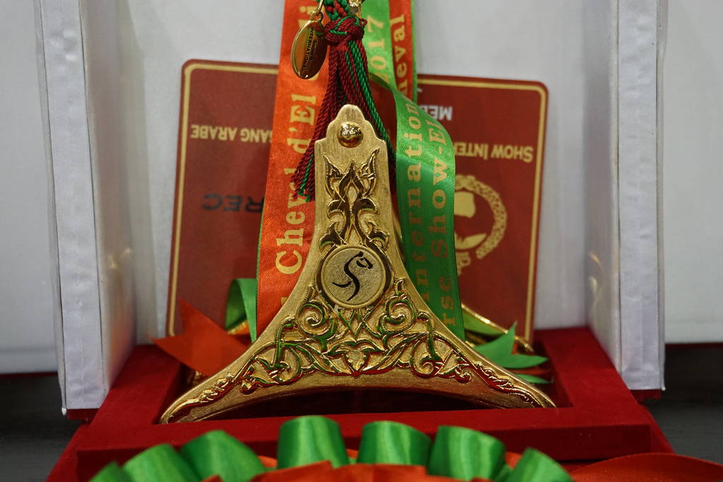 The 2017 Salon du Cheval d'El Jadida Morocco by Scott Bailey 