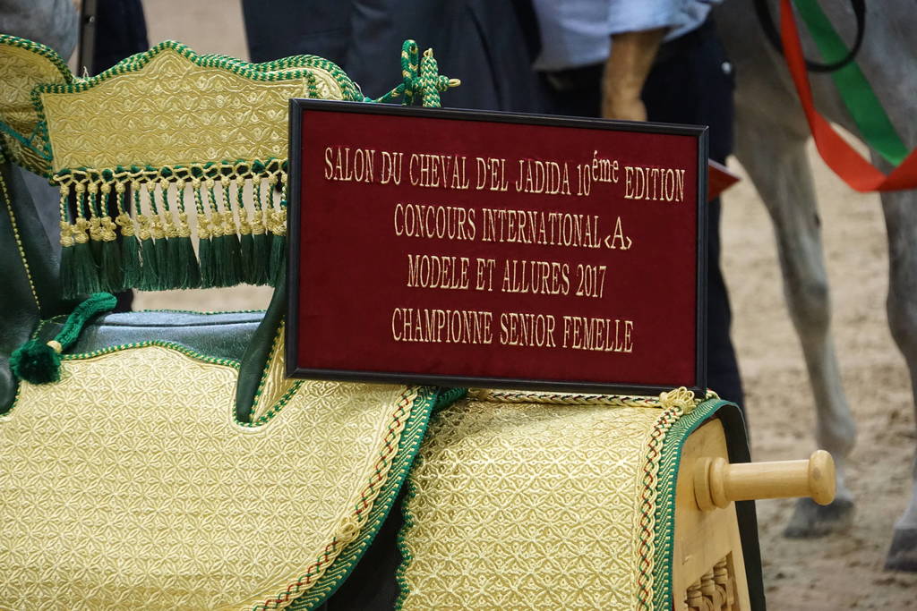 The 2017 Salon du Cheval d'El Jadida Morocco by Scott Bailey 