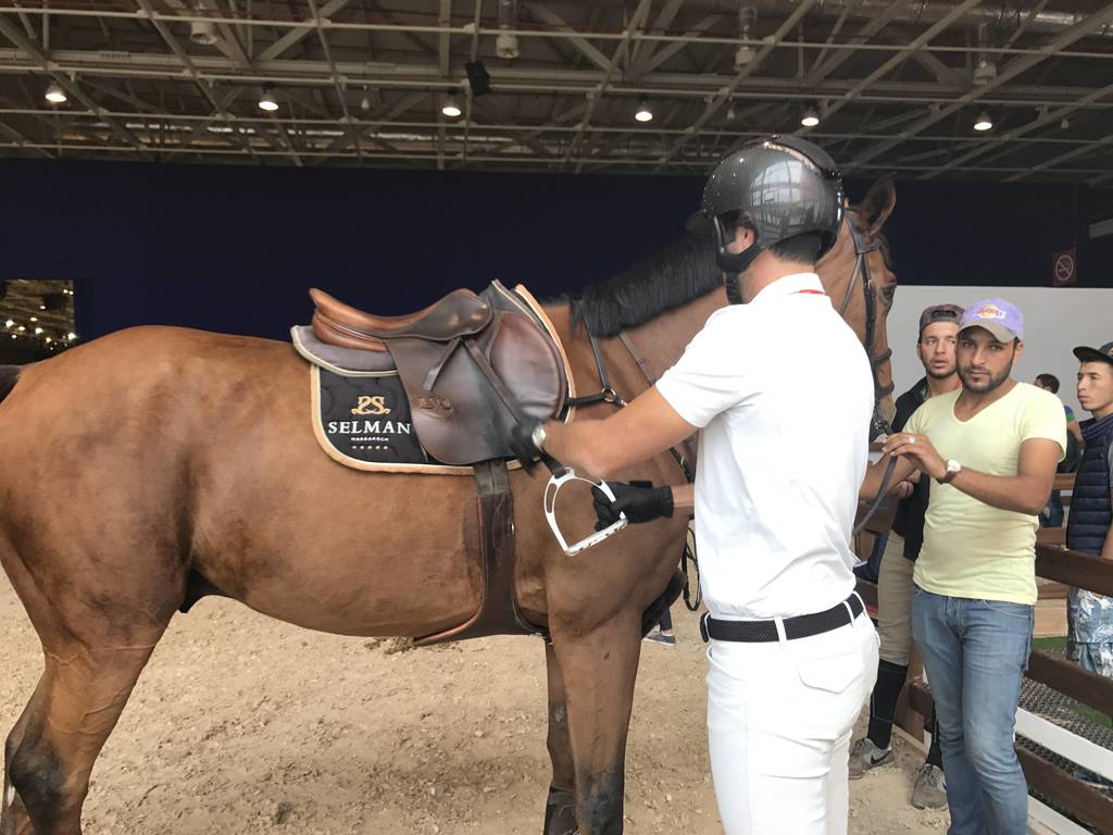 Adelslam getting ready for the show Jumping event. 