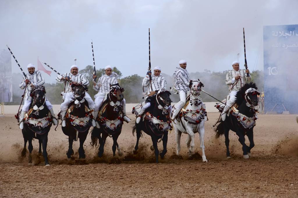 The 2017 Salon du Cheval d'El Jadida Morocco by Scott Bailey 
