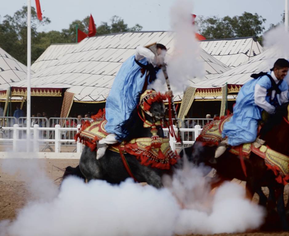 The 2017 Salon du Cheval d'El Jadida Morocco by Scott Bailey 