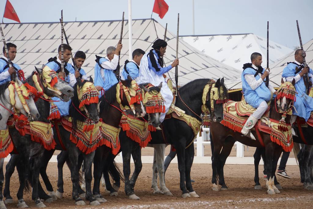 The 2017 Salon du Cheval d'El Jadida Morocco by Scott Bailey 
