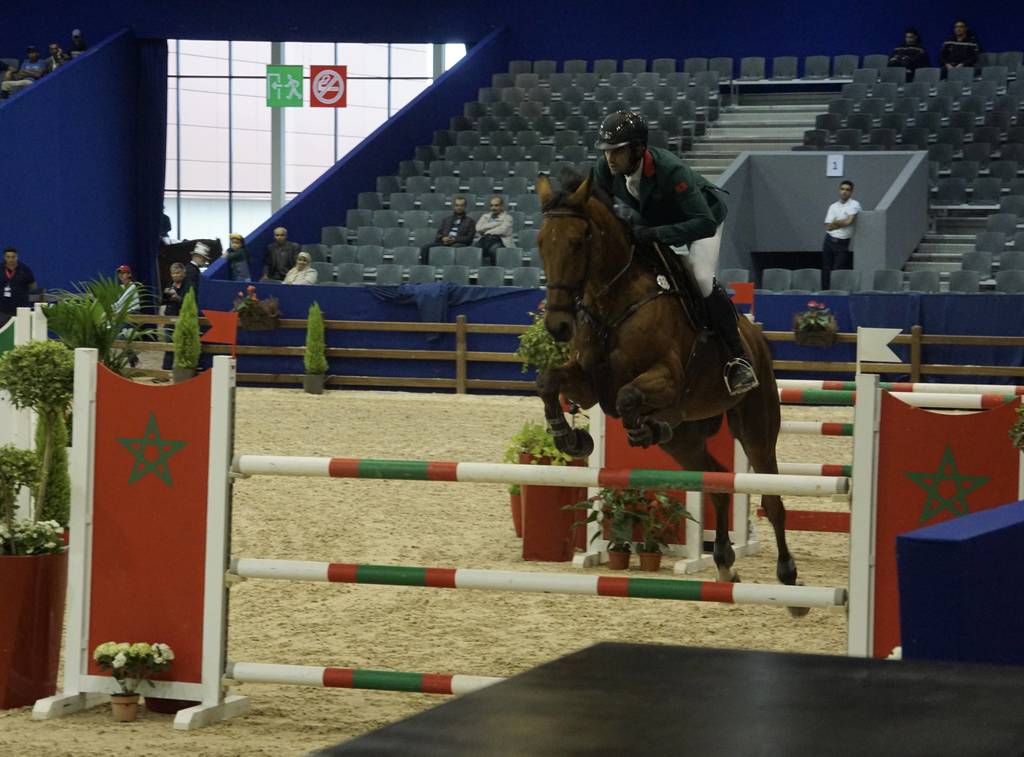 The 2017 Salon du Cheval d'El Jadida Morocco by Scott Bailey 