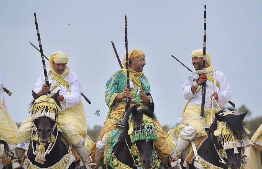 Lisa Abraham: The 2017 Salon du Cheval D'El Jadida: Tbourida!