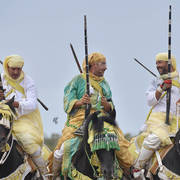 Lisa Abraham: The 2017 Salon du Cheval D'El Jadida: Tbourida!