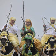 Lisa Abraham: The 2017 Salon du Cheval D'El Jadida: Tbourida!