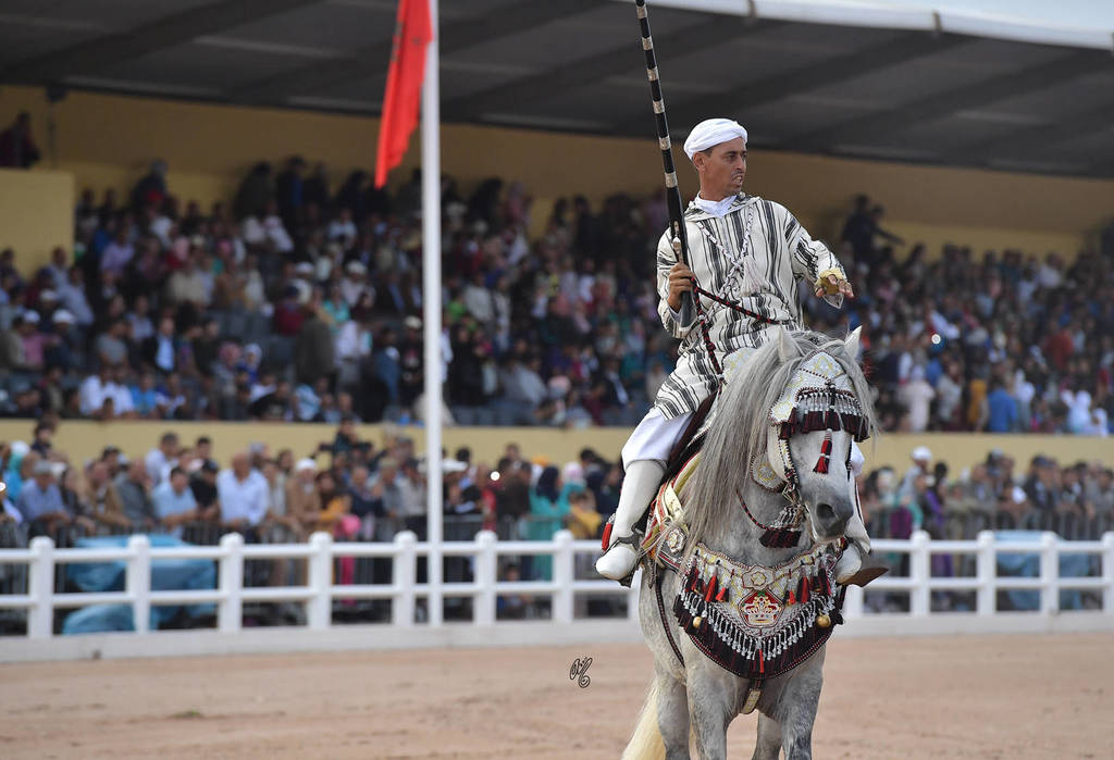 Lisa Abraham: The 2017 Salon du Cheval D'El Jadida: Tbourida!