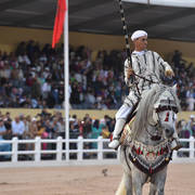 Lisa Abraham: The 2017 Salon du Cheval D'El Jadida: Tbourida!