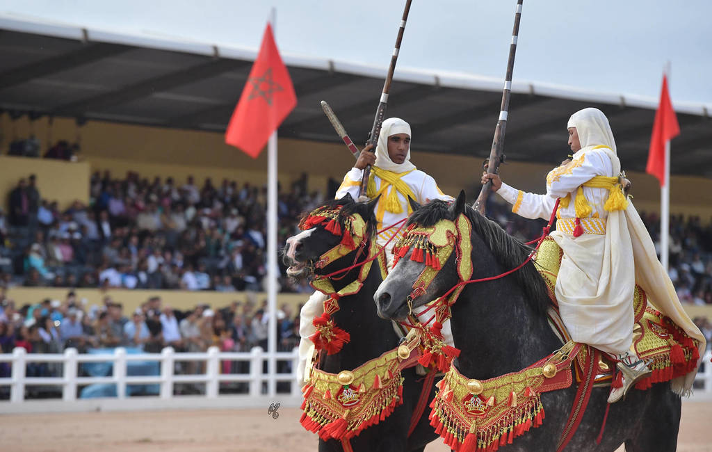 Lisa Abraham: The 2017 Salon du Cheval D'El Jadida: Tbourida!