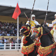 Lisa Abraham: The 2017 Salon du Cheval D'El Jadida: Tbourida!