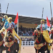 Lisa Abraham: The 2017 Salon du Cheval D'El Jadida: Tbourida!