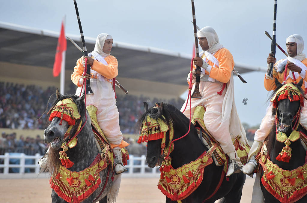 Lisa Abraham: The 2017 Salon du Cheval D'El Jadida: Tbourida!