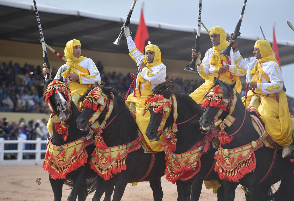 Lisa Abraham: The 2017 Salon du Cheval D'El Jadida: Tbourida!