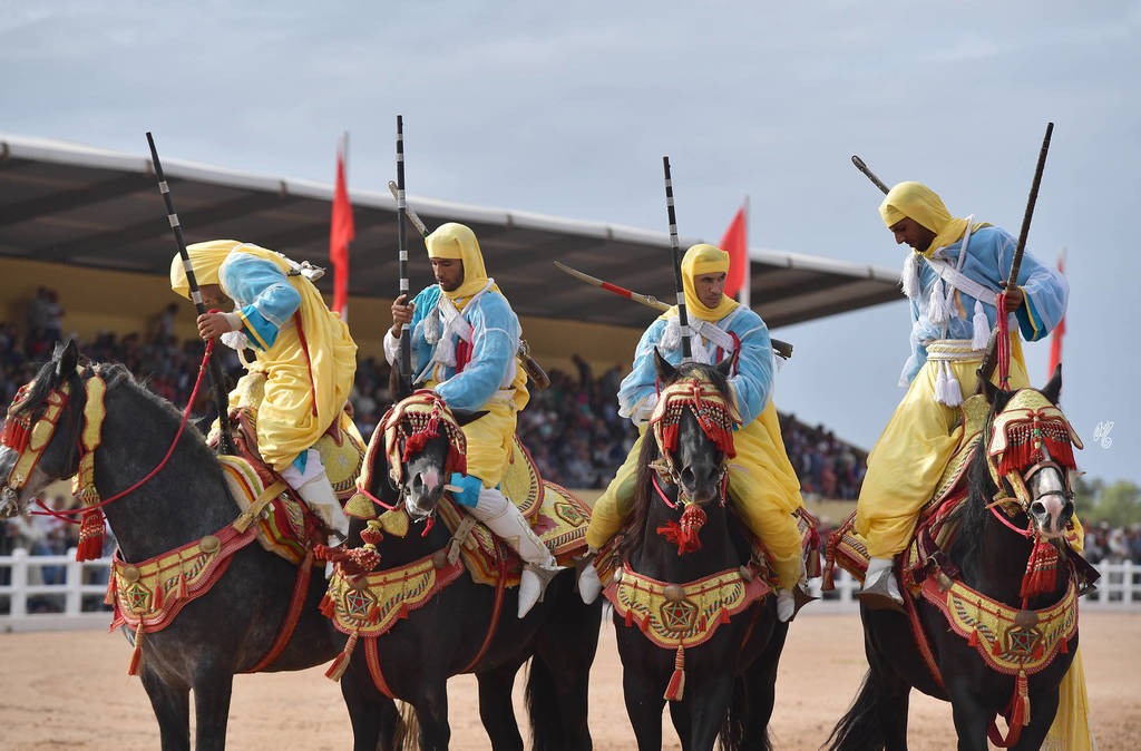 Lisa Abraham: The 2017 Salon du Cheval D'El Jadida: Tbourida!