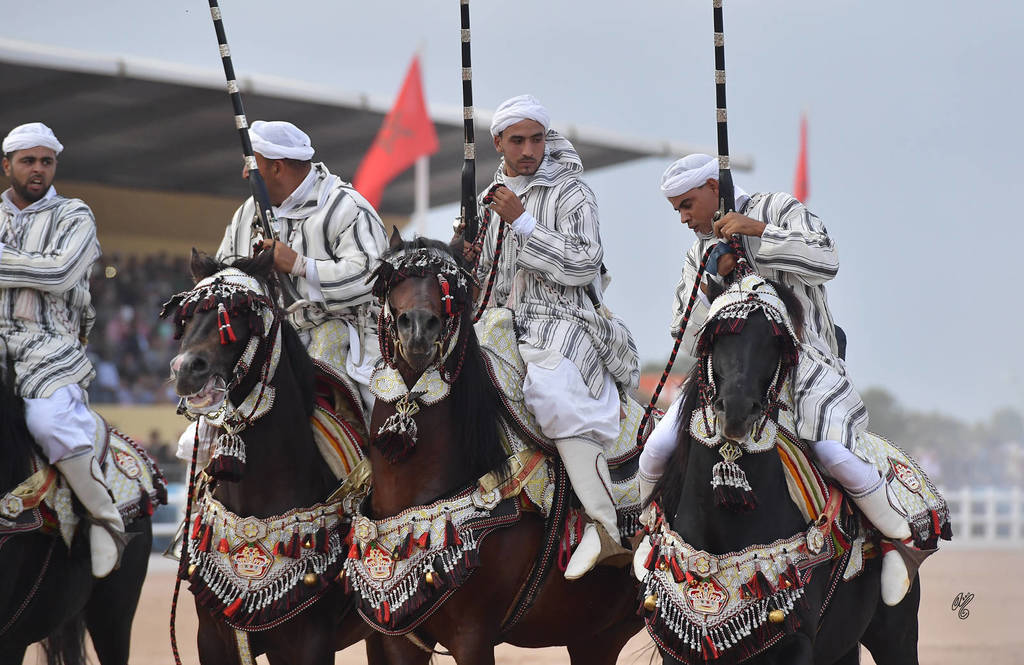 Lisa Abraham: The 2017 Salon du Cheval D'El Jadida: Tbourida!