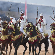 Lisa Abraham: The 2017 Salon du Cheval D'El Jadida: Tbourida!