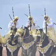 Lisa Abraham: The 2017 Salon du Cheval D'El Jadida: Tbourida!