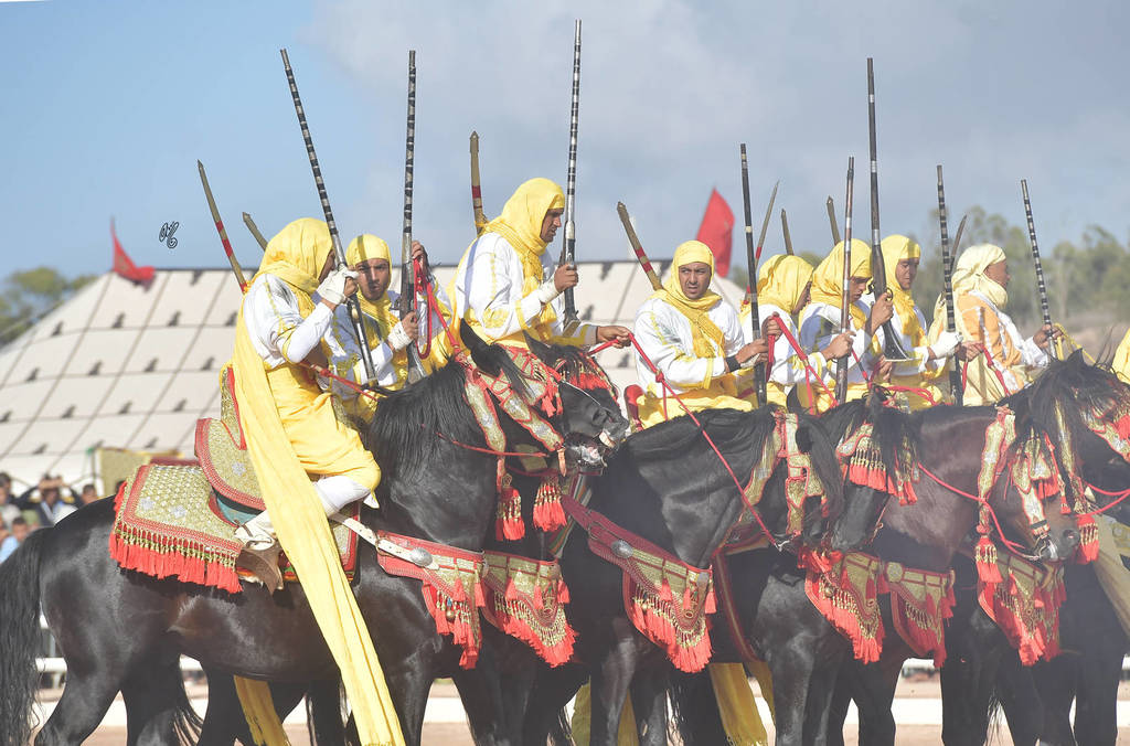 Lisa Abraham: The 2017 Salon du Cheval D'El Jadida: Tbourida!