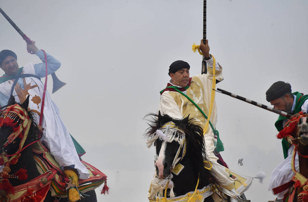 Lisa Abraham: The 2017 Salon du Cheval D'El Jadida: Tbourida!